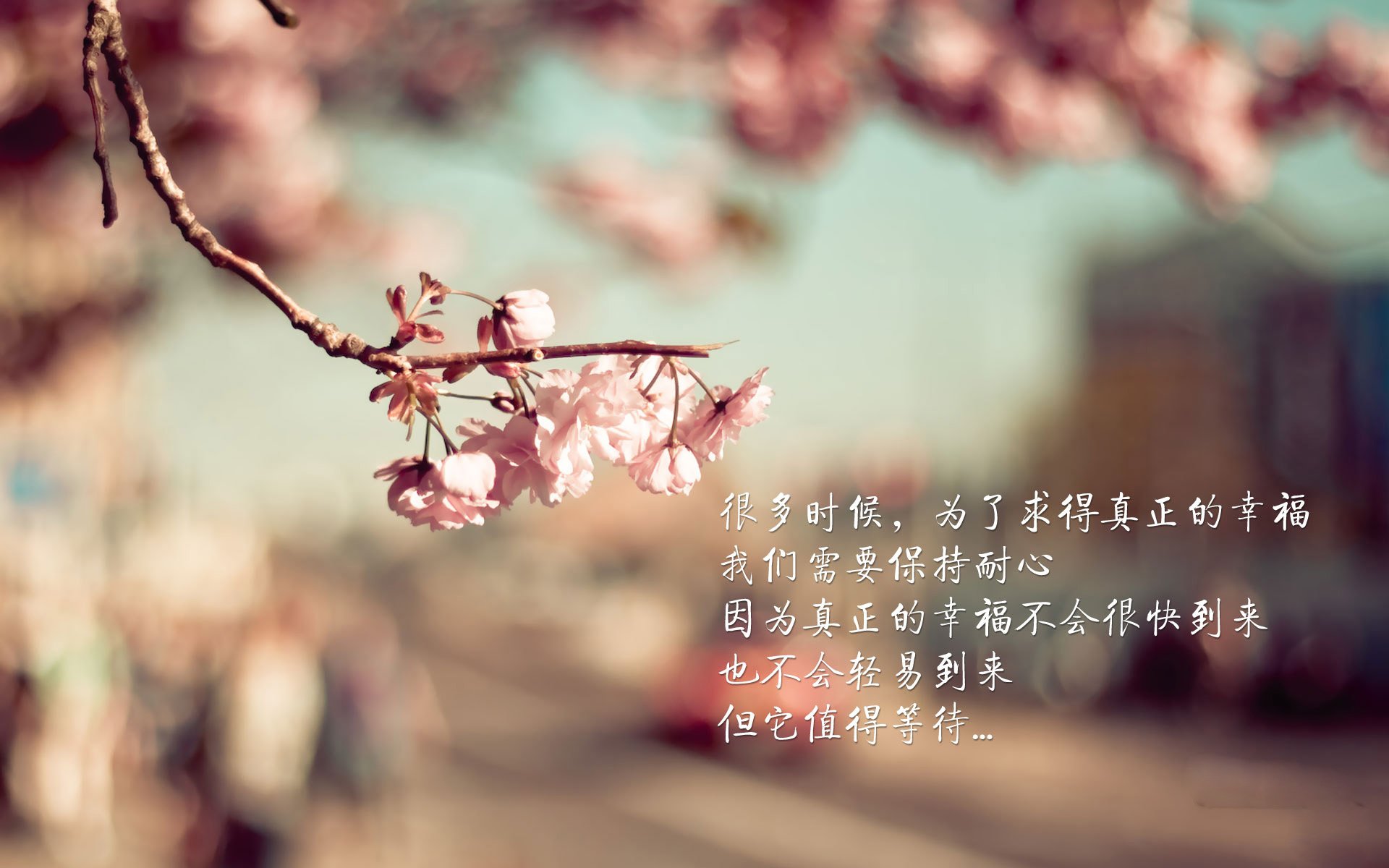 战术盛宴：顶尖团队的多变战术体系解析，多变战士