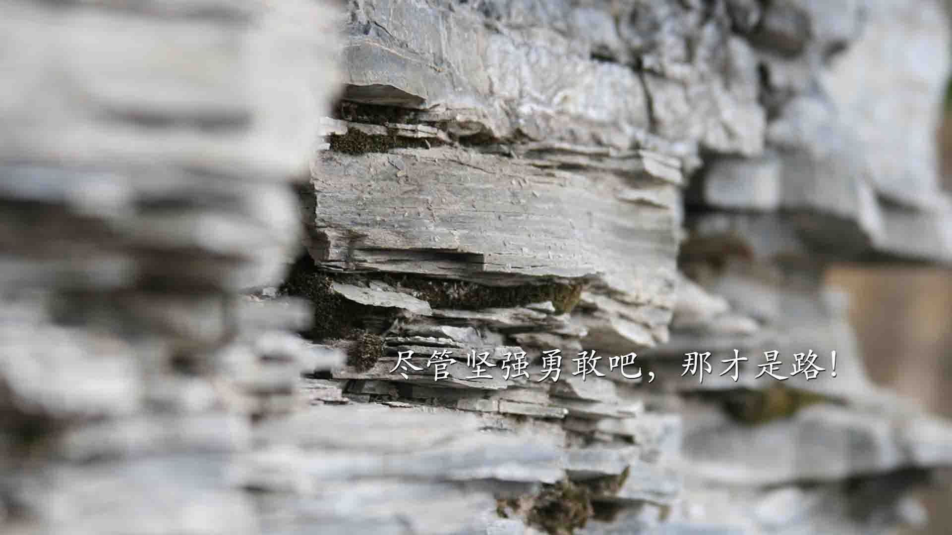 足球生态指数首次发布评估行业健康程度，足球生涯app