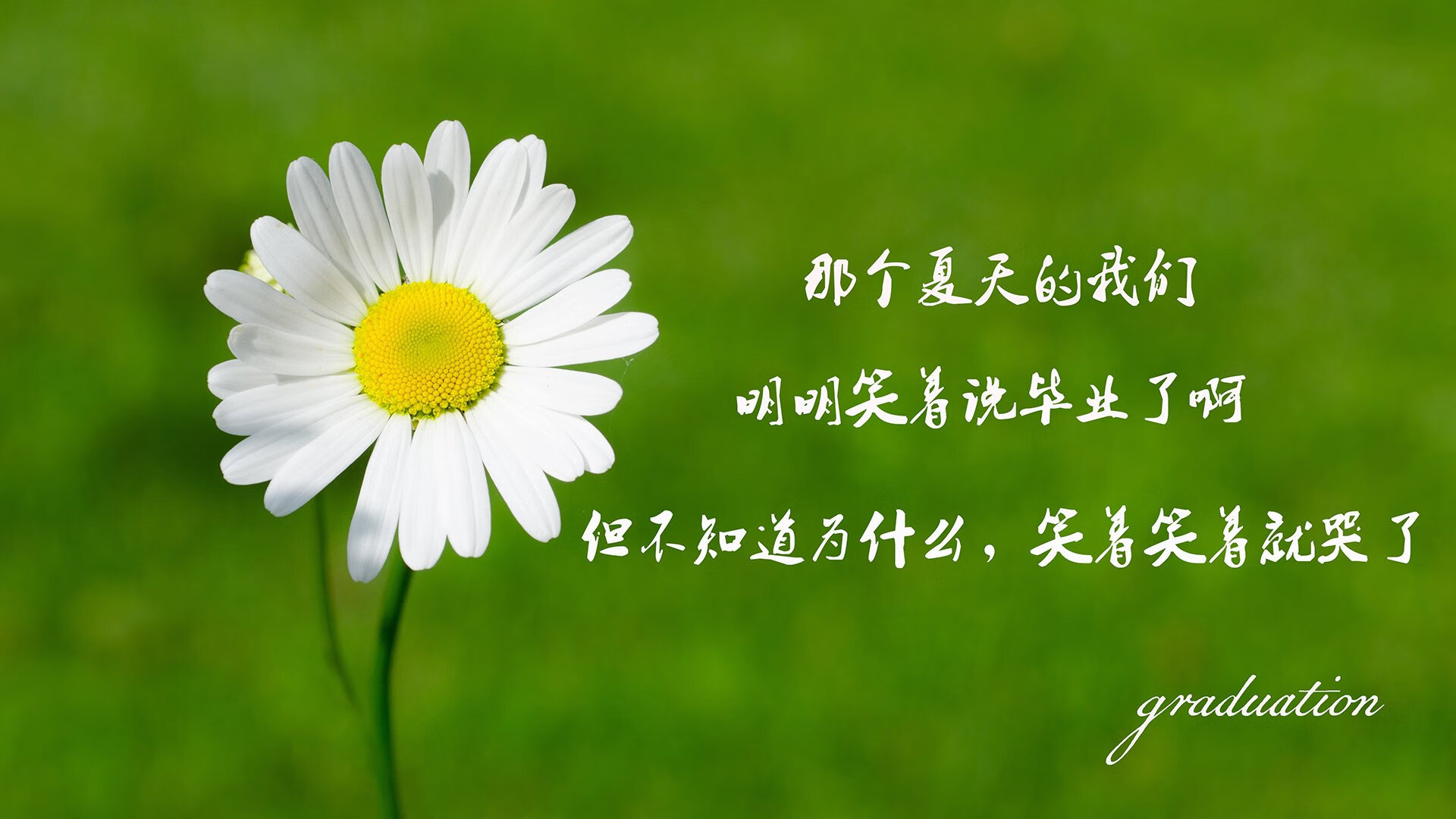 青少年“社区篮球”普及计划在南京持续推进，惠及更多青少年，社工青少年篮球活动