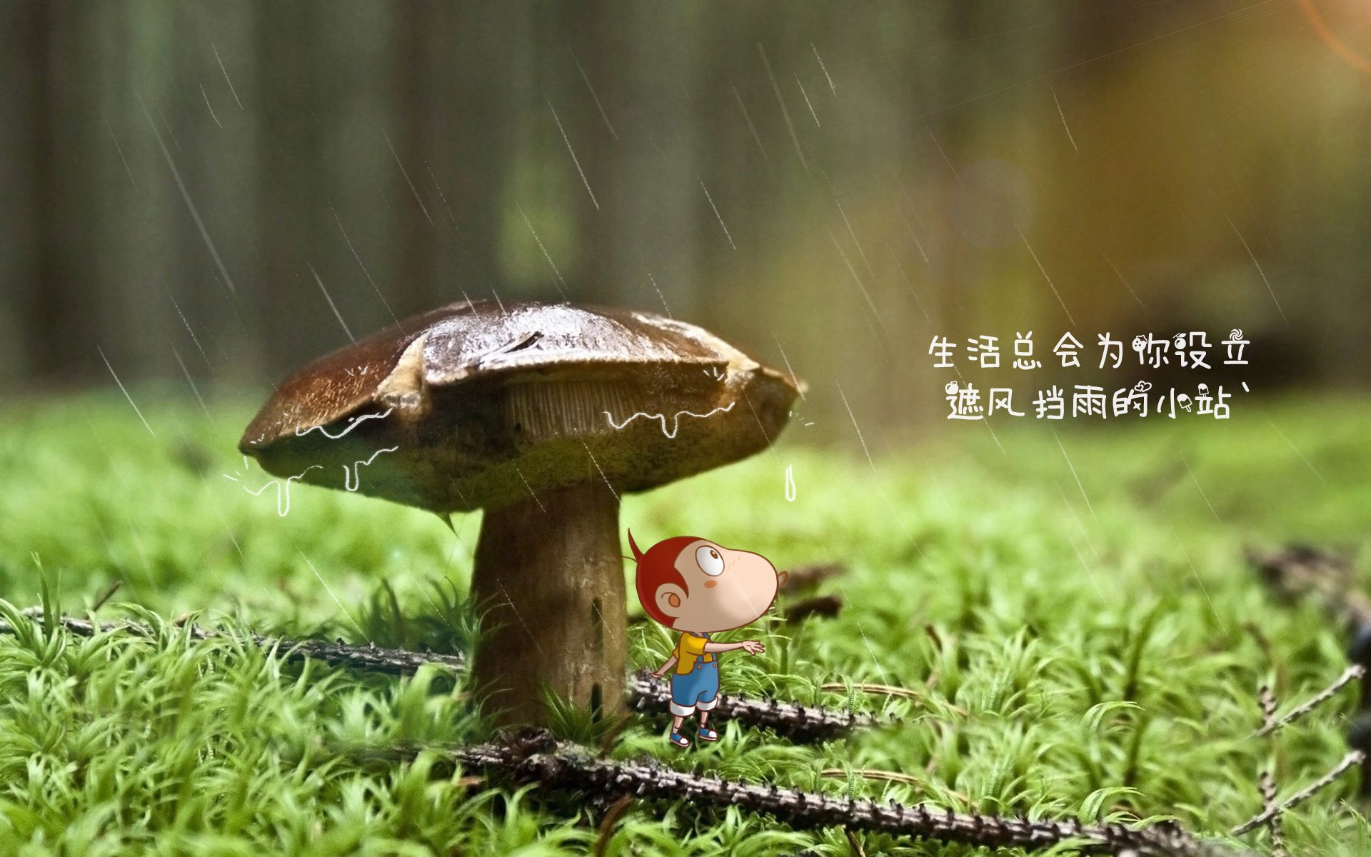 西班牙马术代表队引入先进的马匹护理技术，提升马匹健康水平。