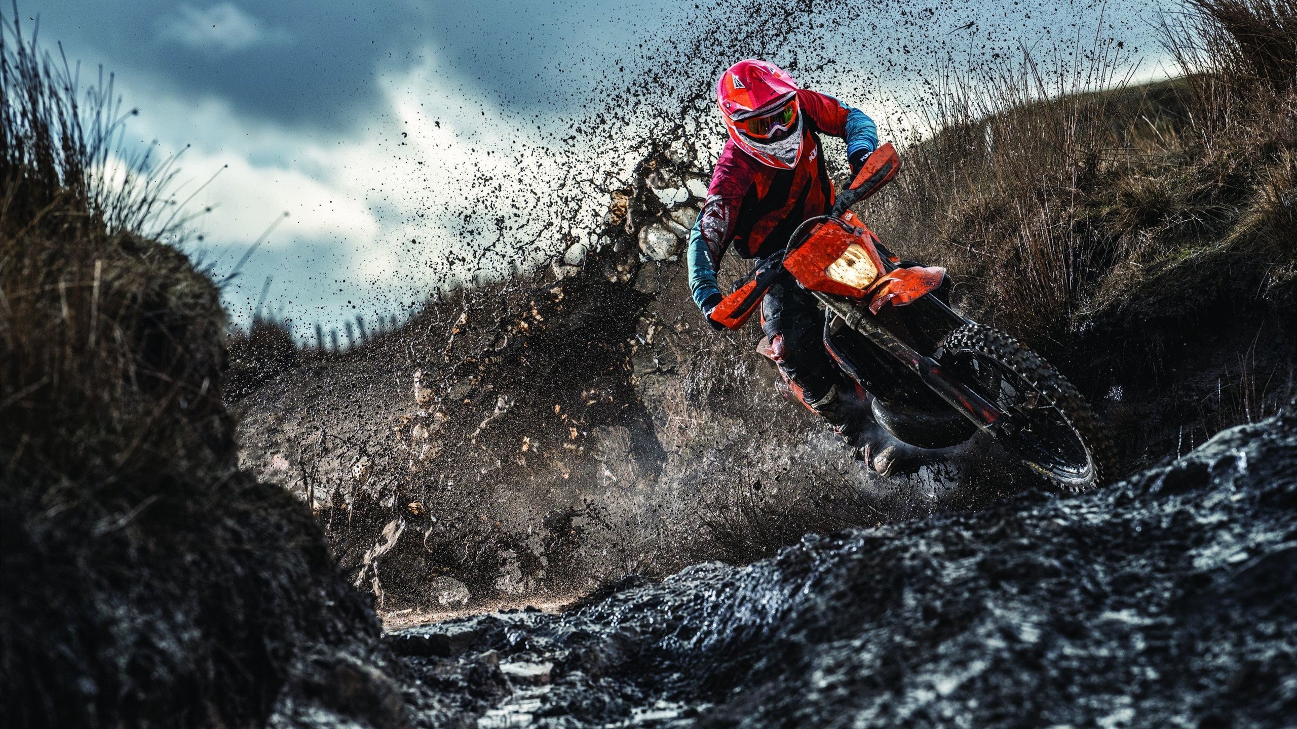 青少年篮球“梦想之星”赛在杭州圆满举办，梦想篮球_巨星之炼成